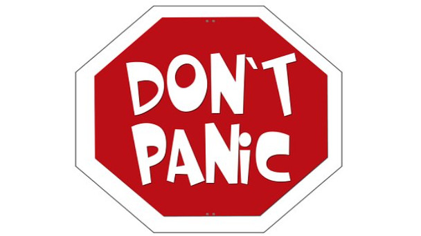 Najava predavanja Dubravke Ujčić...